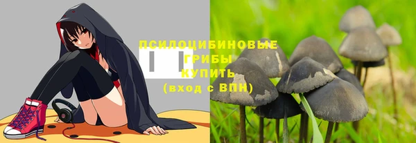 молекула духа Нефтекумск