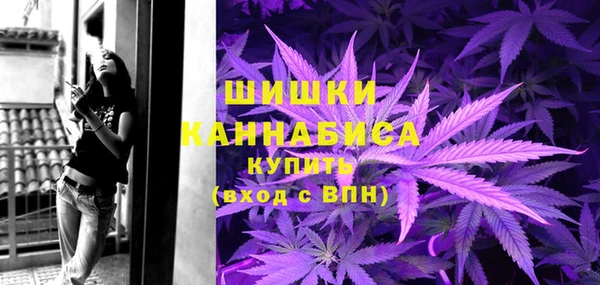 прущие крисы Новозыбков
