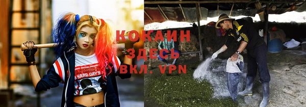 прущие крисы Новозыбков