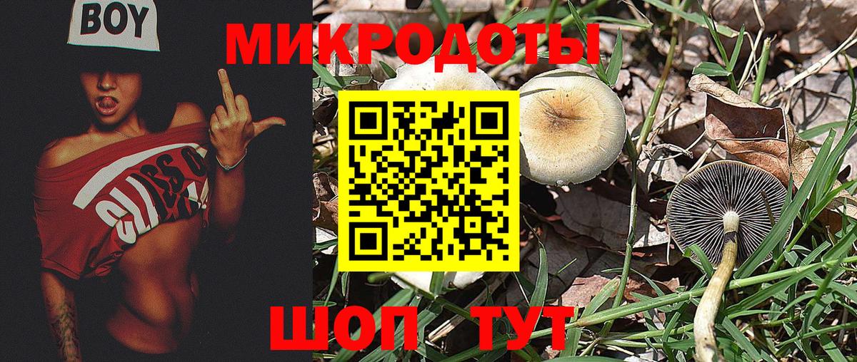 Галлюциногенные грибы Psilocybe  Искитим 