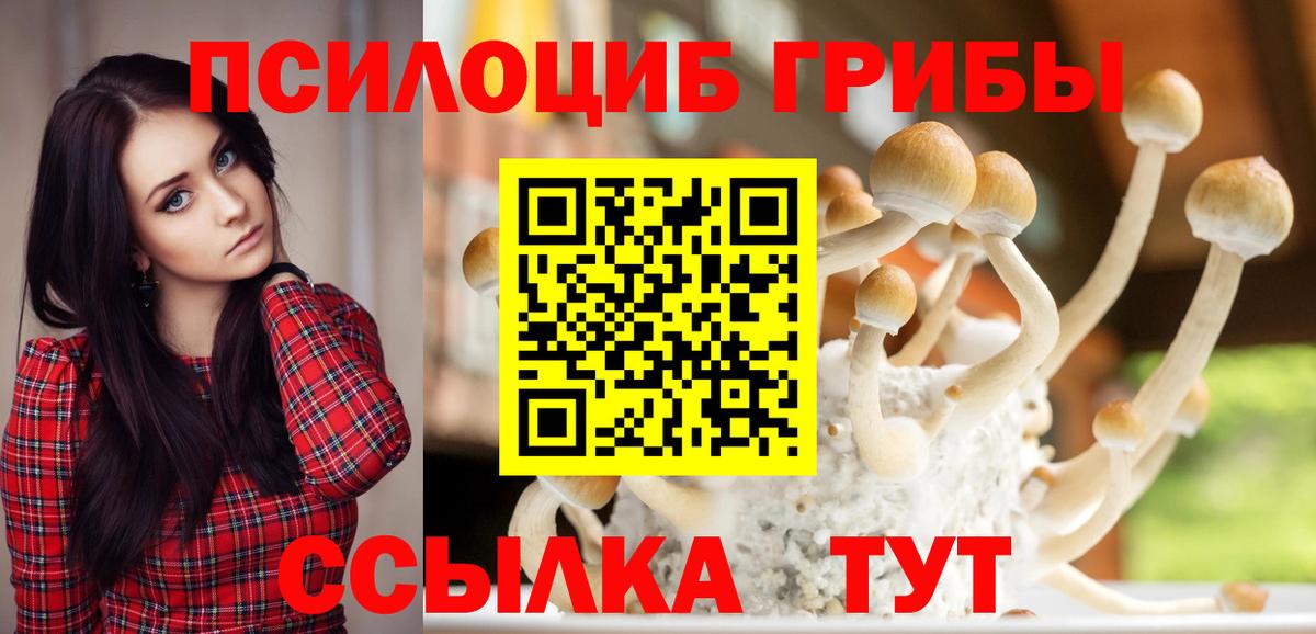 Искитим  Псилоцибиновые грибы GOLDEN TEACHER  Вход с VPN 
