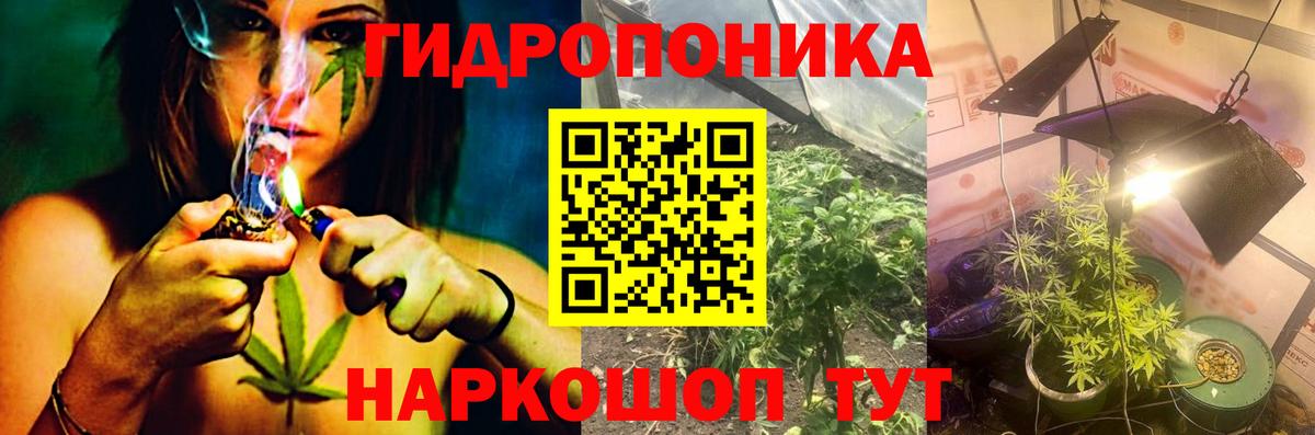 Шишки марихуана сатива  Вход с VPN  Канабис AK-47  Искитим  Шишки марихуана Amnesia 